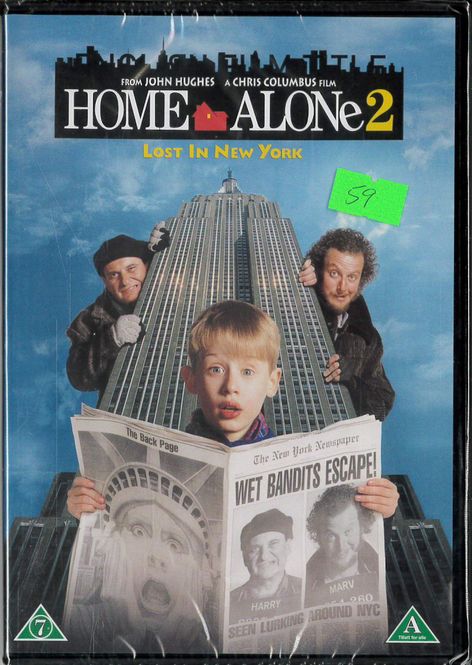Huvudbild Ensam Hemma 2  (DVD)