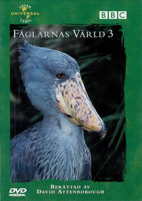 Huvudbild Fåglarnas värld 3