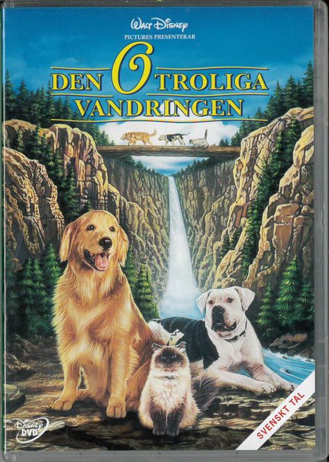 Huvudbild Den otroliga vandringen (dvd) beg