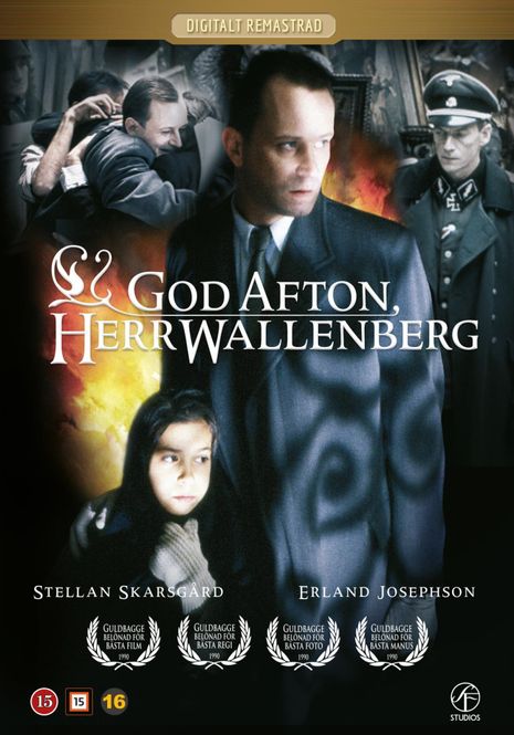 Huvudbild Godafton, Herr Wallenberg (DVD)