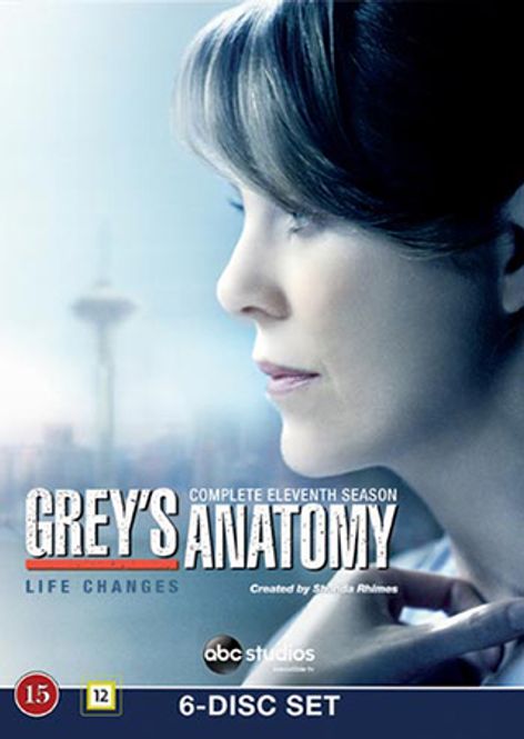 Huvudbild Greys Anatomy - Säsong 11 (dvd)