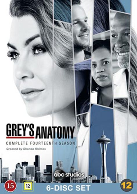 Huvudbild Greys Anatomy - Säsong 14  (DVD) BEG
